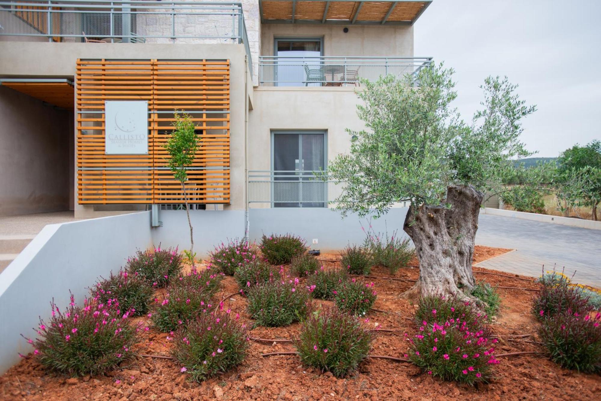 Callisto Seaside Homes & Suites ماراثوبوليس المظهر الخارجي الصورة